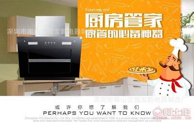 【yhua廠家直銷抽油煙機講師評點禮品會銷油煙機歐式側吸節能抽油煙機A45】深圳市南山區恒寶新電器制造廠 - 產品庫
